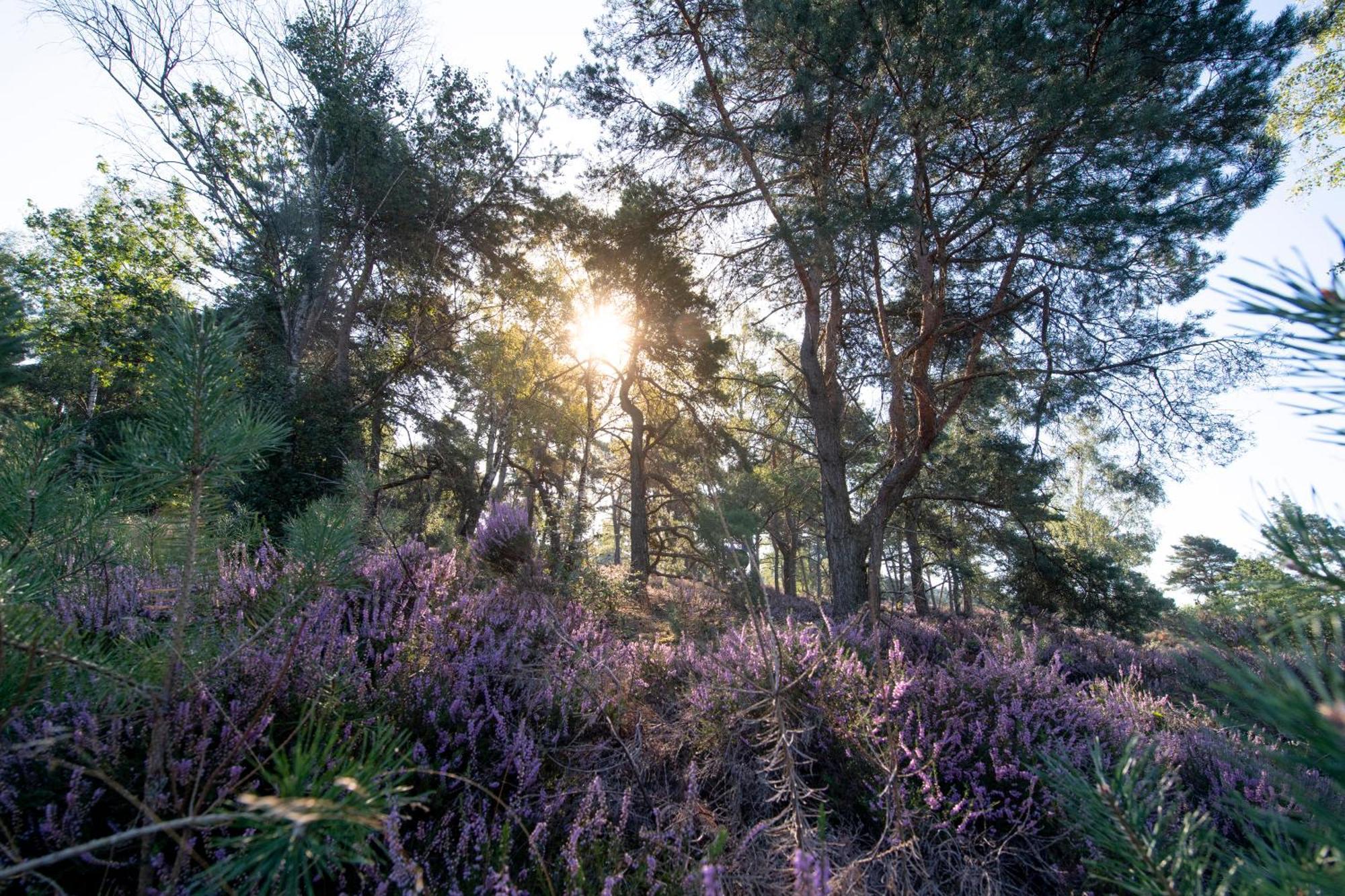 Vakantiepark Hoelte Rijssen Exteriér fotografie