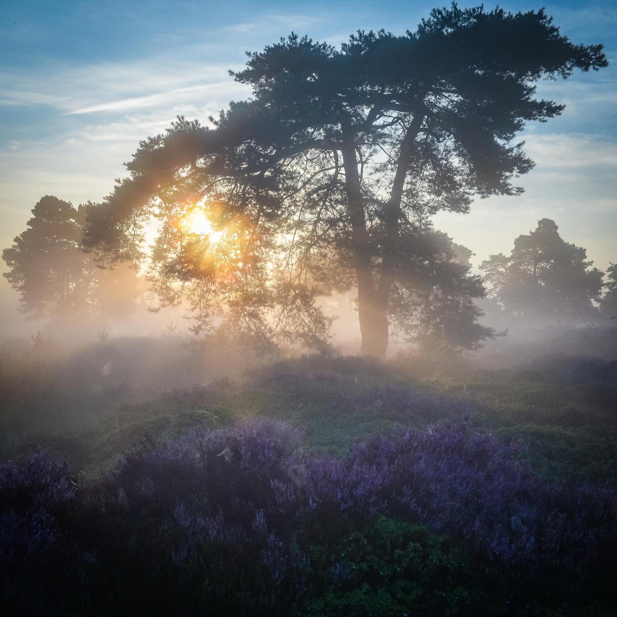 Vakantiepark Hoelte Rijssen Exteriér fotografie