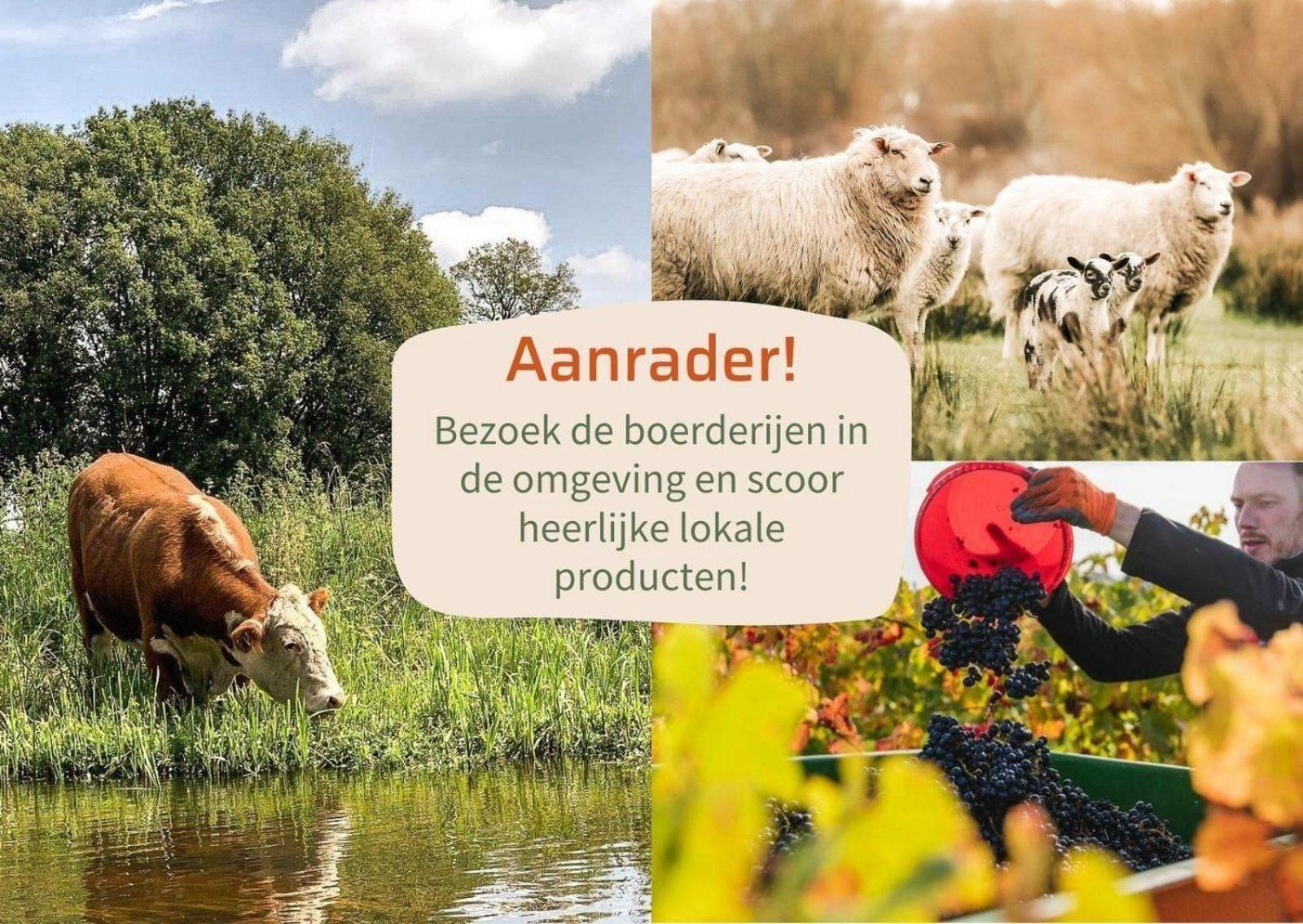 Vakantiepark Hoelte Rijssen Exteriér fotografie